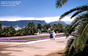 ORAN PARC MUNICIPAL4-1956